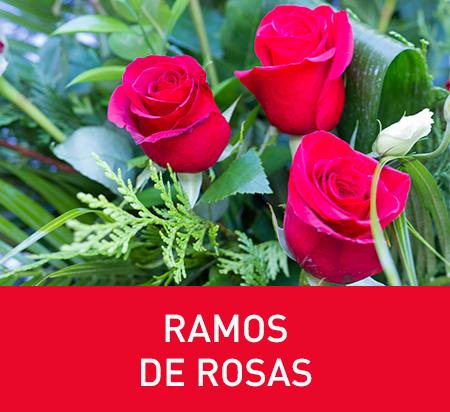 Ramos de rosas